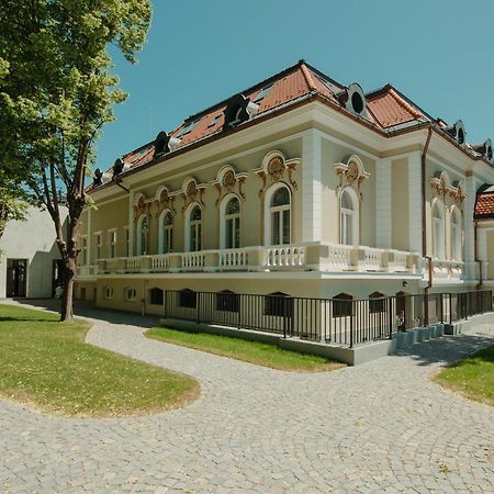 Boutique Hotel Cocosul De Aur Târgu-Mureş Eksteriør billede